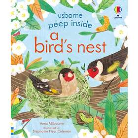 Peep Inside A Bird's Nest