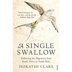 Single Swallow