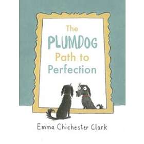 The Plumdog Path To Perfection