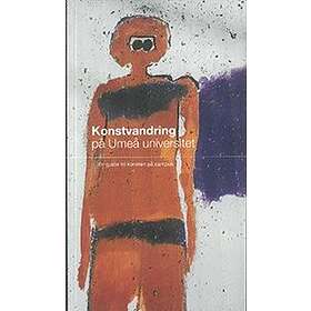Konstvandring På Umeå Universitet