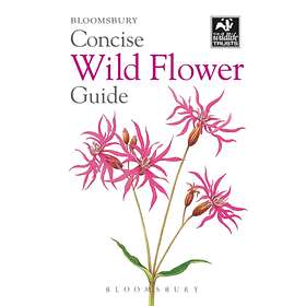 Concise Wild Flower Guide