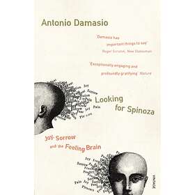 Looking For Spinoza