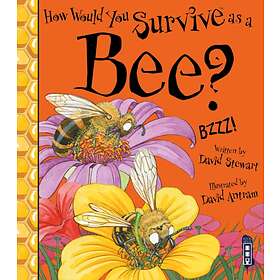 How Would You Survive As A Bee?