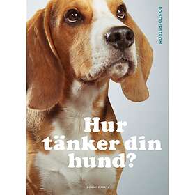 Hur Tänker Din Hund?