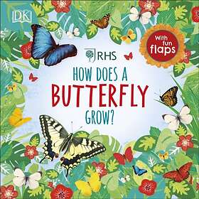 RHS How Does A Butterfly Grow?