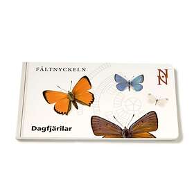 Fältnyckeln. Dagfjärilar