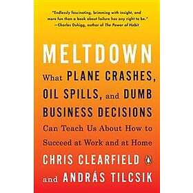 Meltdown: What Plane Crashes, Oil Spills, And Dumb Business Decisions