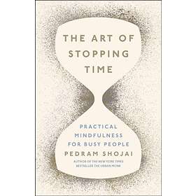 The Art Of Stopping Time