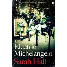 The Electric Michelangelo