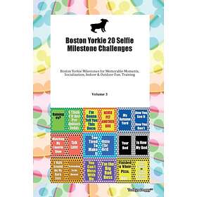 Boston Yorkie 20 Selfie Milestone Challenges Boston Yorkie Milestones