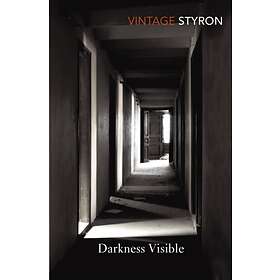 Darkness Visible