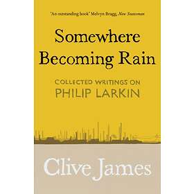 Somewhere Becoming Rain