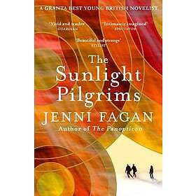 Sunlight Pilgrims