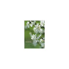 Blossom Large Card Box