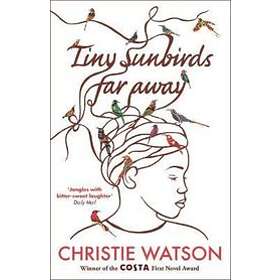 Tiny Sunbirds Far Away