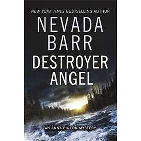 Destroyer Angel (Anna Pigeon Mysteries, Book 18)