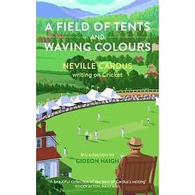 A Field Of Tents And Waving Colours