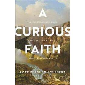 A Curious Faith: The Questions God Asks, We Ask, And We Wish Someone W