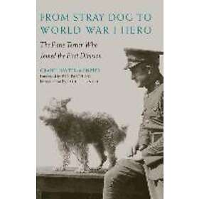 From Stray Dog To World War I Hero