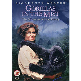 De Dimhöljda Bergens Gorillor (DVD)