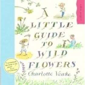 A Little Guide To Wild Flowers