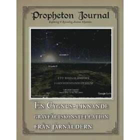 Propheton Journal. Vol 1(2019), En Cygnus-liknande Gravfältskonstellat