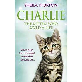 Charlie The Kitten Who Saved A Life