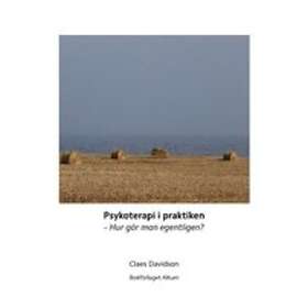 Psykoterapi I Praktiken : Hur Gör Man Egentligen??