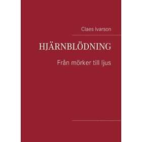 Hjärnblödning : Från Mörker Till Ljus