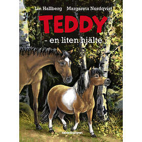 Rabén & Sjögren Teddy En Liten Hjälte Ljudbok