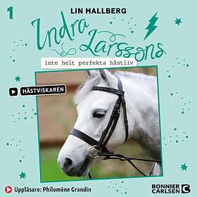 Indra Larssons Inte Helt Perfekta Hästliv Ljudbok
