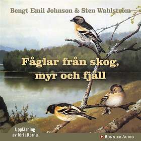 Fåglar Från Skog, Myr Och Fjäll