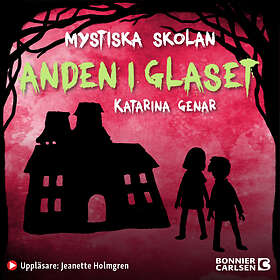Anden I Glaset Ljudbok