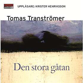 Den Stora Gåtan Ljudbok