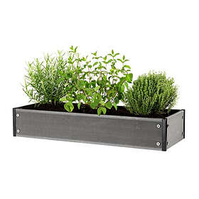 Hortus NSH-210-930