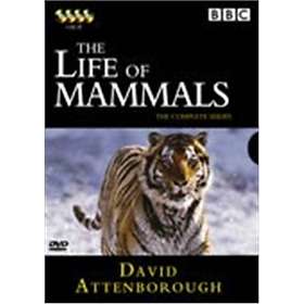 Life of the Mammals - David Attenborough - Hitta bästa pris på Prisjakt