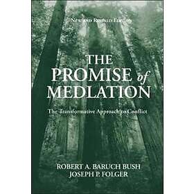 The Promise Of Mediation
