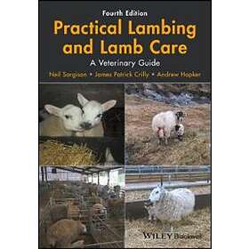 Practical Lambing And Lamb Care – A Veterinary Guide