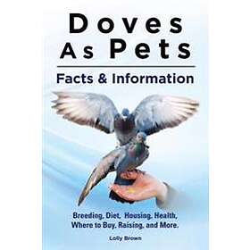 Doves As Pets: Breeding, Diet, Housing, Health, Where To Buy, Raising, And More. Facts & Information