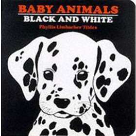 Baby Animals Black And White