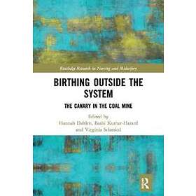 Birthing Outside The System