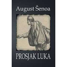 Prosjak Luka: Roman
