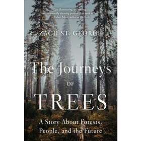 The Journeys Of Trees
