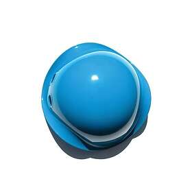 Wilmer X: Livezone (DVD)