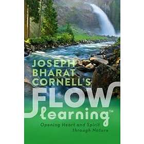 Flow Learning