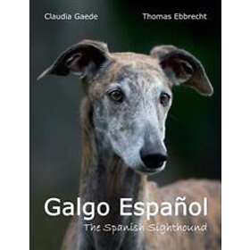 Galgo Espanol