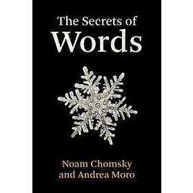The Secrets Of Words
