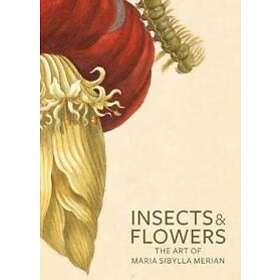 Insects And Flowers – The Art Of Maria Sibylla Merian