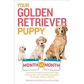 Your Golden Retriever Puppy Month By Month