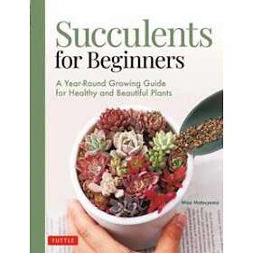Succulents For Beginners